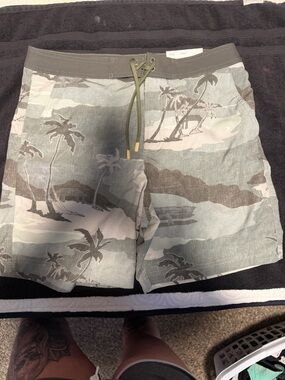 American Eagle Outfitters Olive and Gray Palm Print Swim Trunks